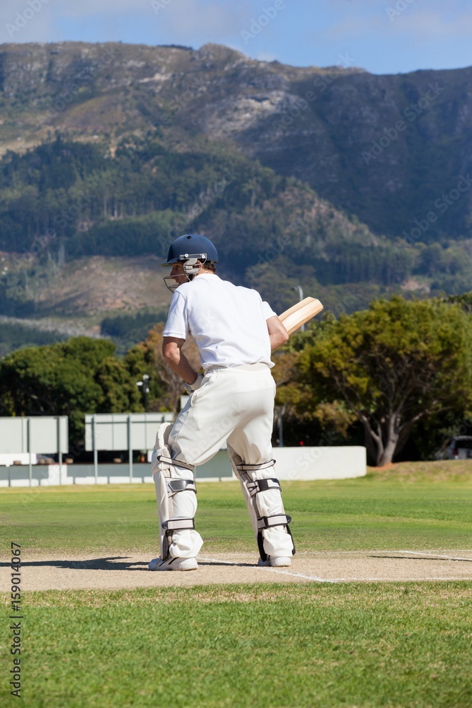 Obraz premium Rear view of batsman playing cricket at field