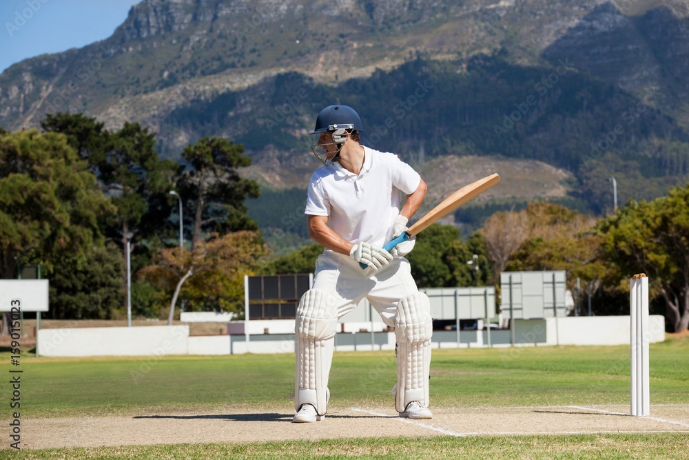 Obraz premium Batsman playing cricket on field against mountain