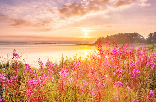 Sunrise scenery over Northern sea in Sweden, coast line with field flowers, green grass at foreground, epic sunrise sky in background. © Feel good studio