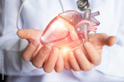 Obraz na płótnie Cardiologist supports the heart .