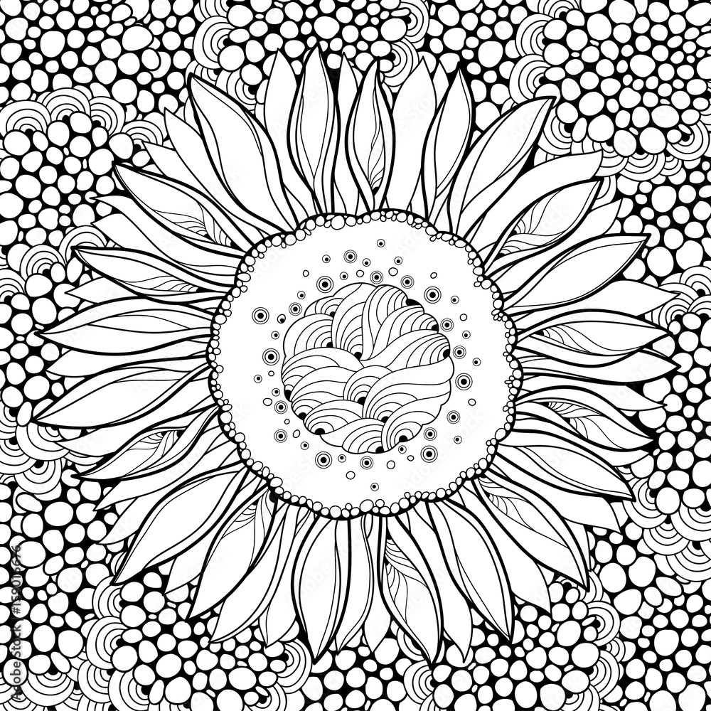 Fototapeta premium Vector composition with outline open Sunflower or Helianthus flower on the abstract background. Floral elements in contour style with ornate Sunflower for summer design or adult coloring page.