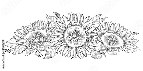 Fototapeta Naklejka Na Ścianę i Meble -  Vector composition with outline open Sunflower or Helianthus flower and leaves isolated on white background. Floral elements in contour style with ornate Sunflowers for summer design or coloring page.