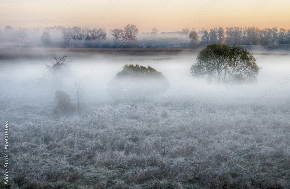 Fototapeta premium Foggy morning