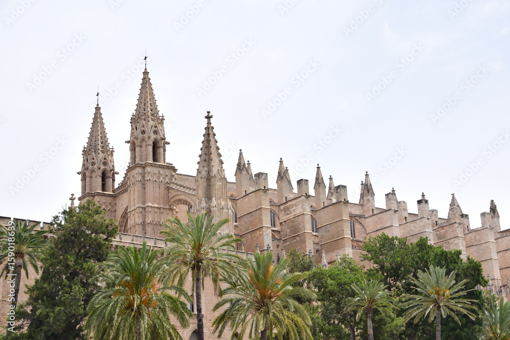 Die Kathedrale von Mallorca