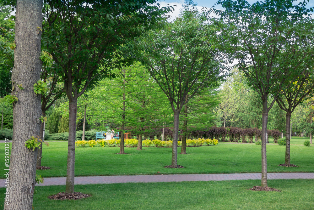 park, surrounded by a beautiful landscape with footpath and trees park, surrounded by a beautiful landscape with footpath and trees