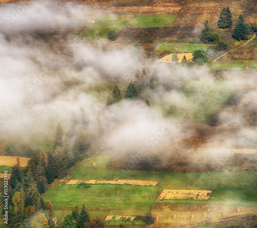 foggy morning