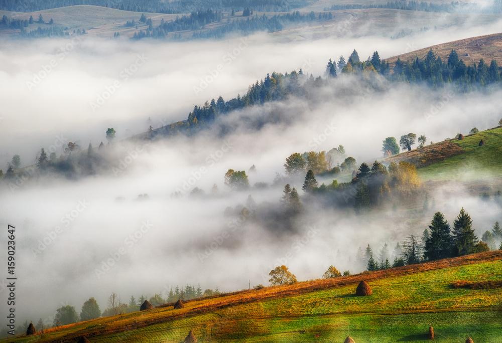 foggy morning