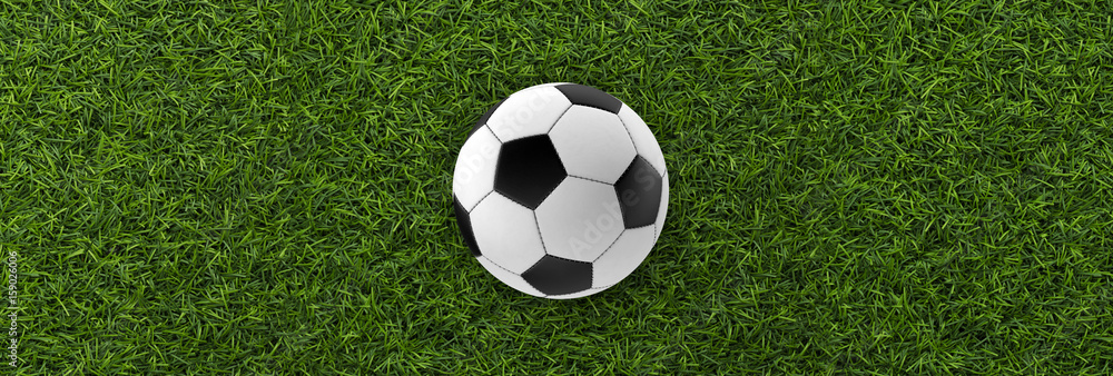 soccer football on grass field soccer football on grass field