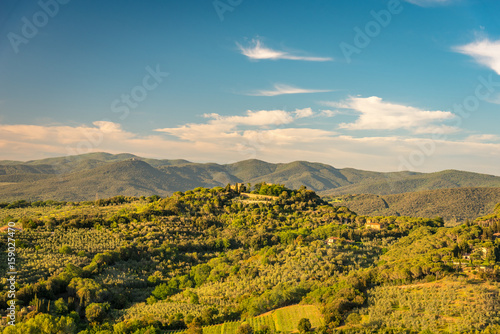 View of the tuscan countryside along the road for Bolgheri  Italy