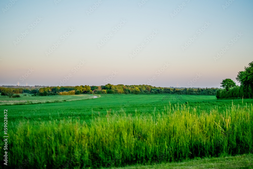 Beautiful green nature in Europe from the road