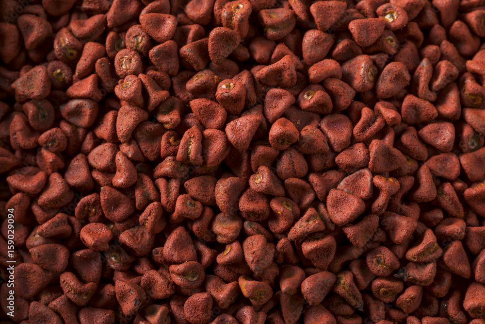 Raw Red Organic Annatto Seeds