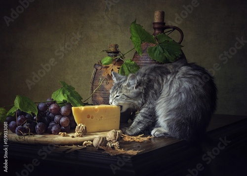Obraz na plátně Hungry little kitten eating cheese slice