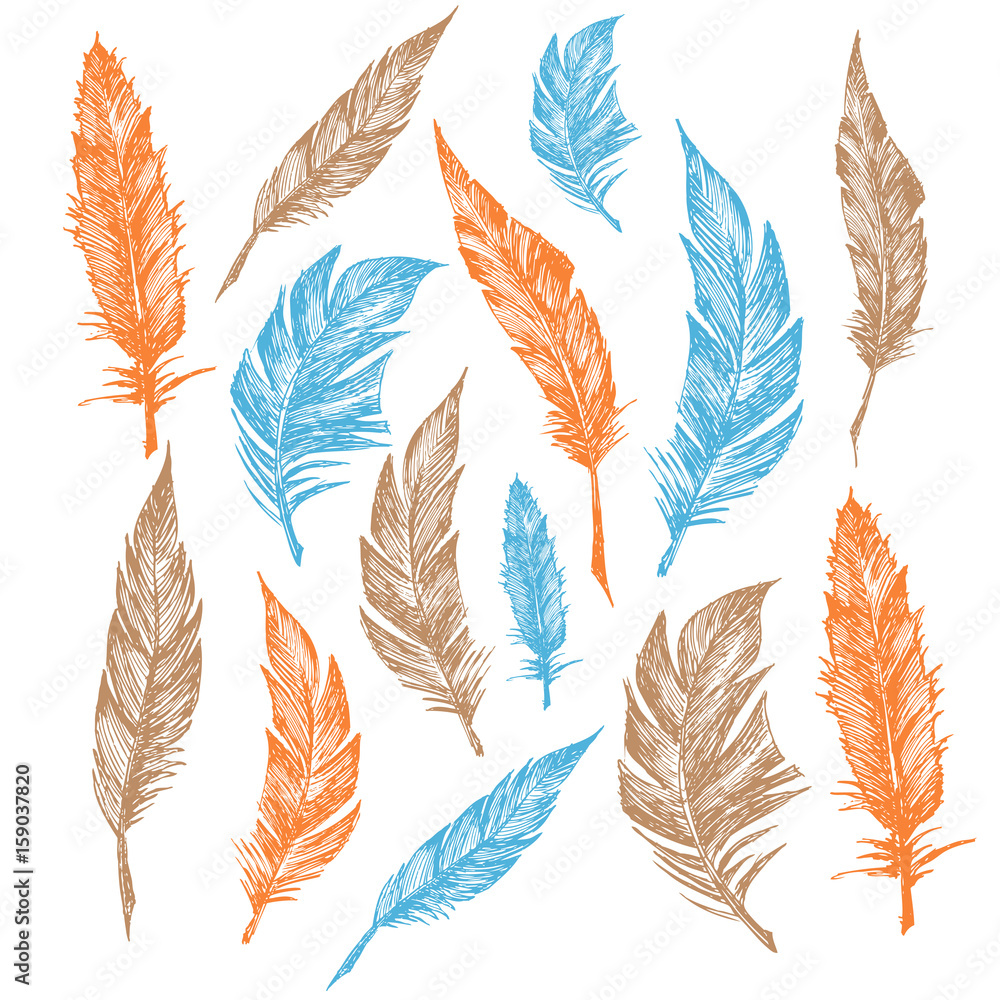 Feather Pattern Feather Pattern