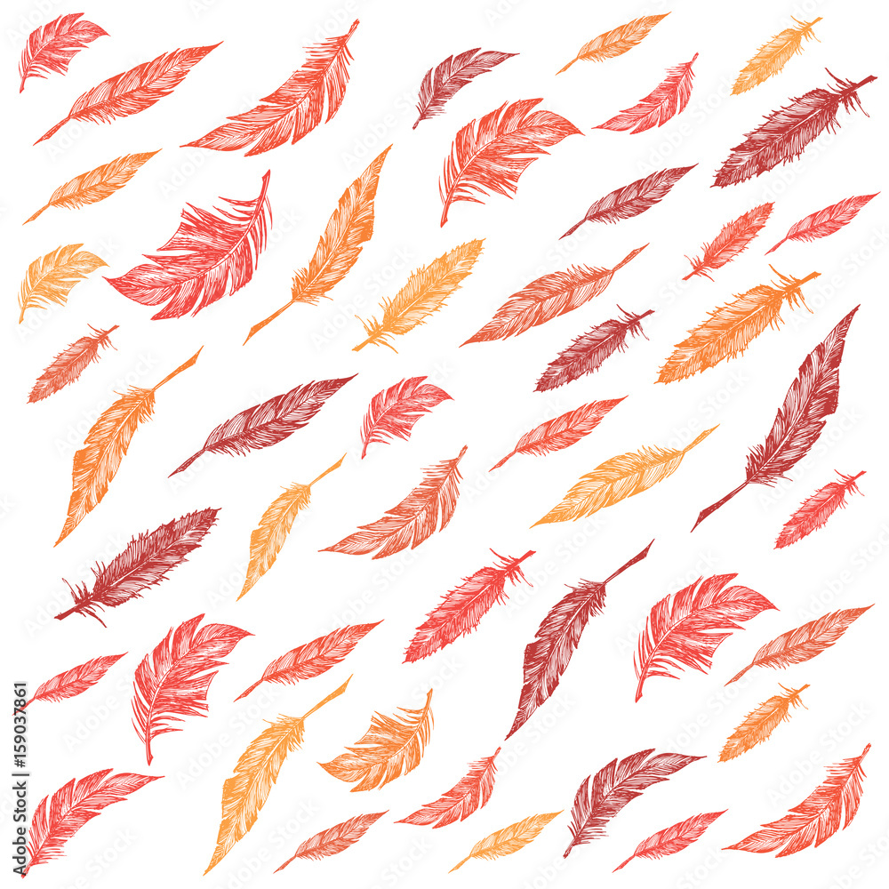 Feather Pattern Feather Pattern