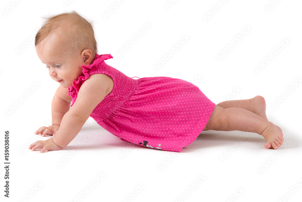 Baby girl in pink dress on white background Baby girl in pink dress on white background