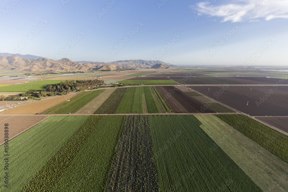 Aerial view of farm field row crops near Camarillo in Ventura County, California. 