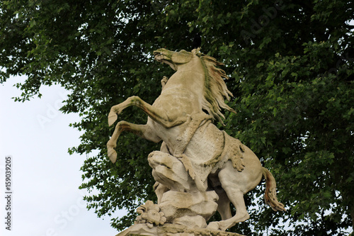 Marly le Roi - Domaine National photo