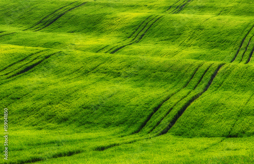 Hilly field © sergnester