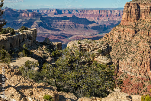 Grand Canyon South Rim Landscape