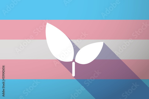 Long shadow transgender flag with a plant