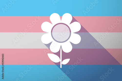 Long shadow transgender flag with a flower