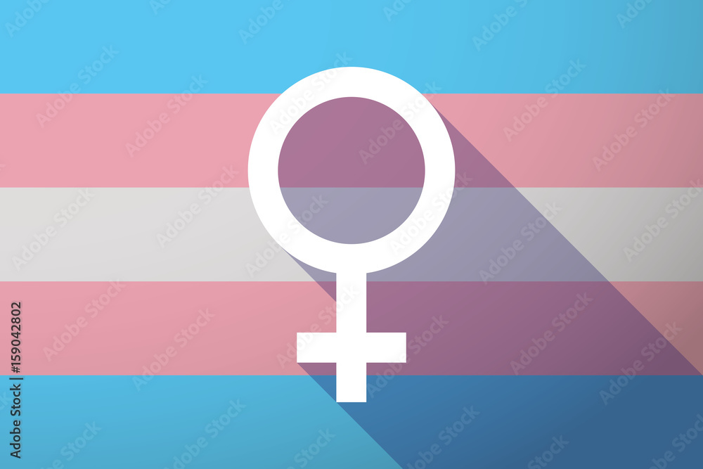 Трансгендеры виды. Трансгендеры для презентации. Флаг трансгендеров. Транс ориентация флаг. Трансгендер ориентация.