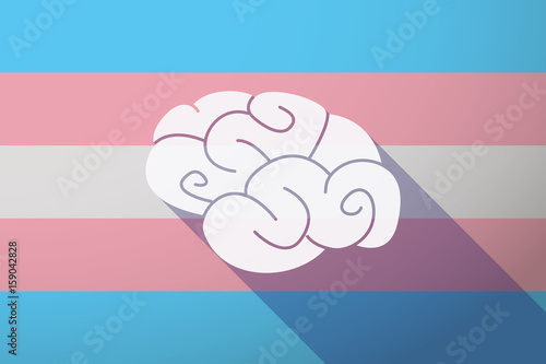 Long shadow transgender flag with
