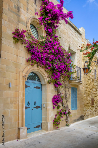 Old Narrow Street of Mdina - Mdina  Malta