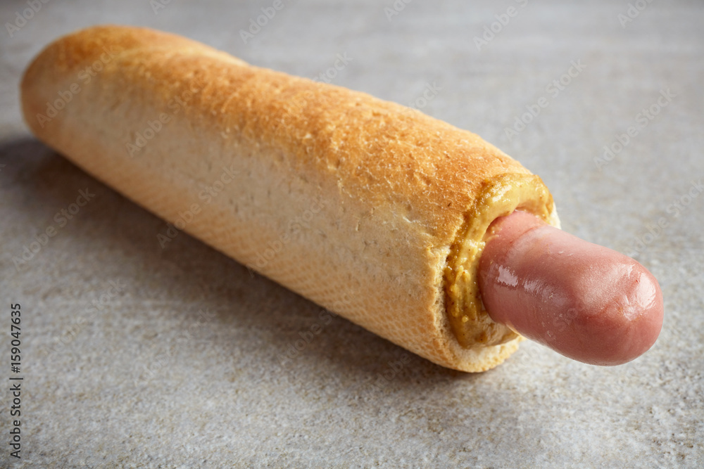 Hotdog with mustard Hotdog with mustard