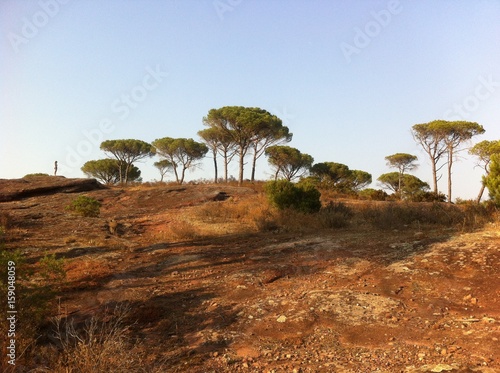 Plaines des Maures