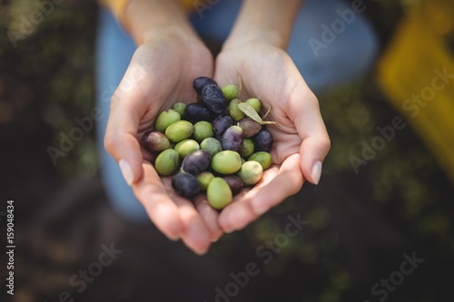 High angle view of woman holding olives