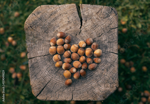Hearth shaped hazelnuts 
