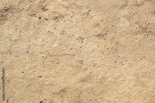 Obraz na płótnie rocky summer beach sand texture w salonie