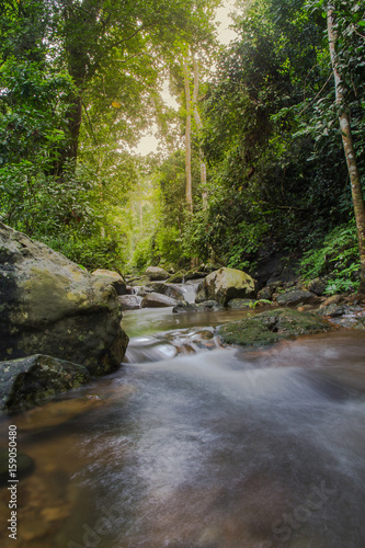 beautiful small waterfall in the wild,nature