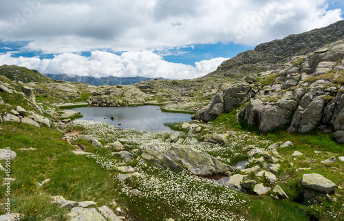 Glacier mountain lake in Brenta Dolomites.