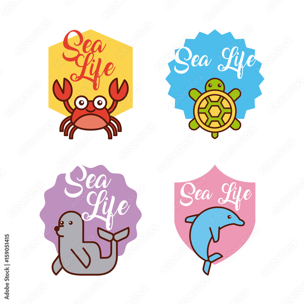 sea life icons set flat draw illustration vector design graphic sea life icons set flat draw illustration vector design graphic