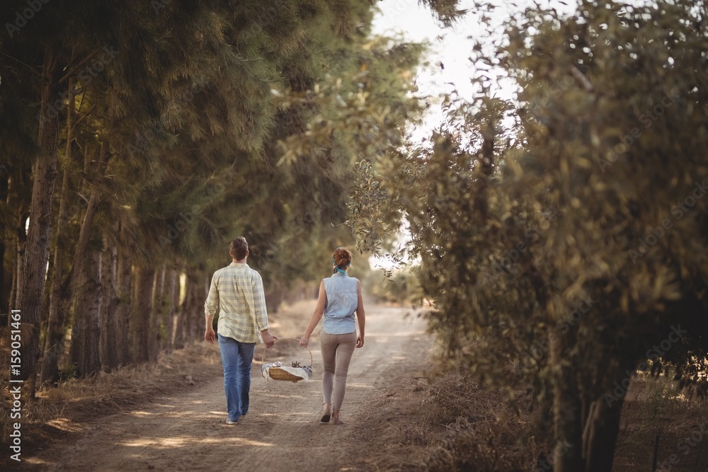 Couple carrying basket while walking on dirt road at farm Couple carrying basket while walking on dirt road at farm