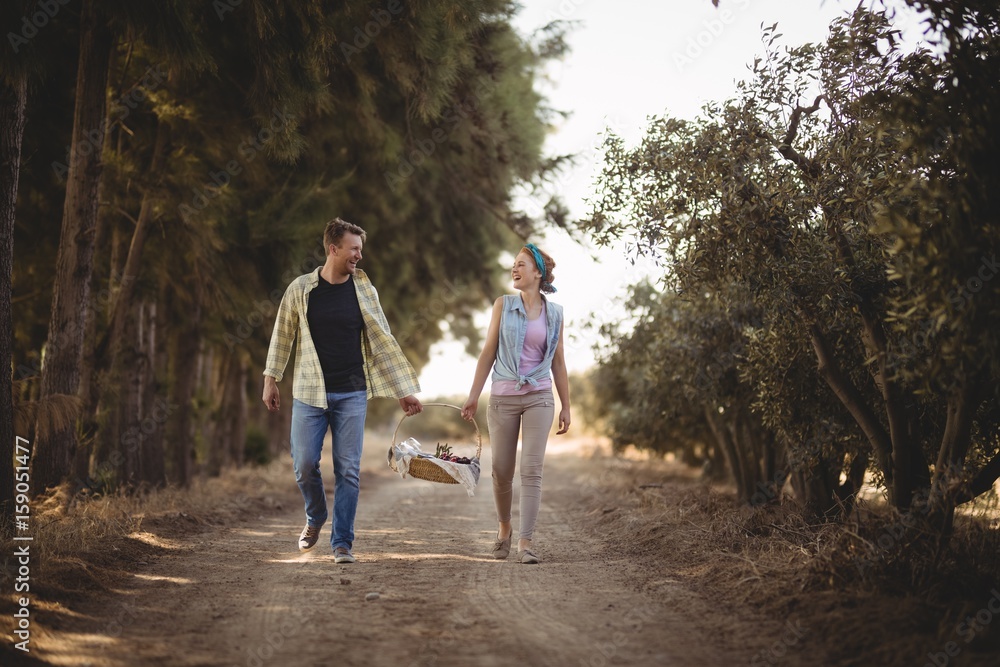 Obraz premium Cheerful couple carrying basket while walking