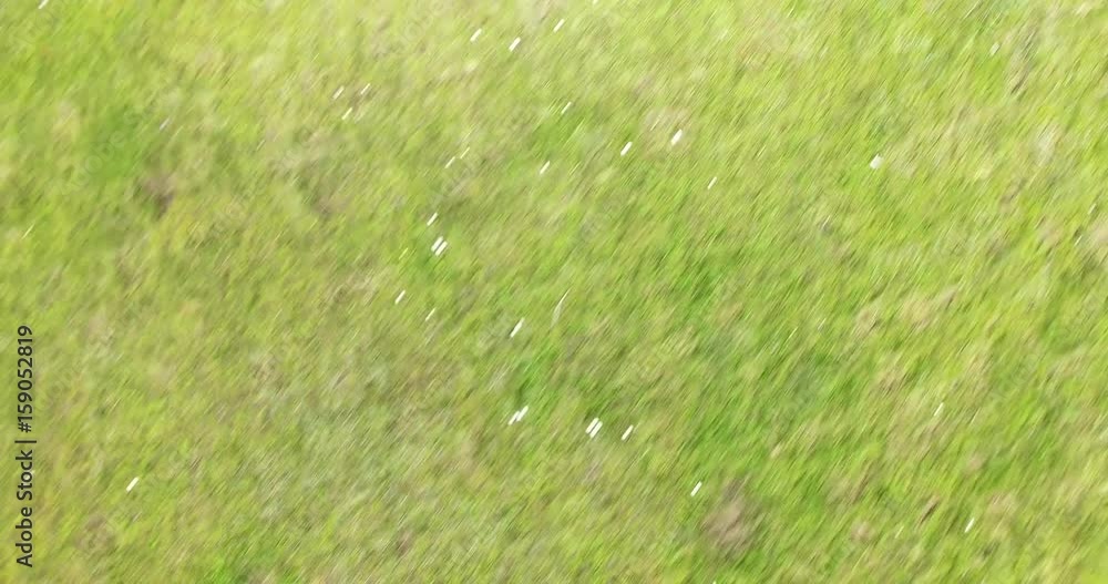 Aerial drone scene top view moving fast close to the floor passes from the water to the grass. Confusing and conceptual scene. Rush, harry, afraid, running away. Aerial drone scene top view moving fast close to the floor passes from the water to the grass. Confusing and conceptual scene. Rush, harry, afraid, running away.