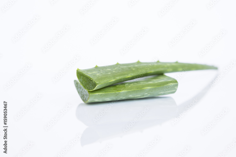 Selective focus on fresh Aloe Vera leaf isolate on white background Selective focus on fresh Aloe Vera leaf isolate on white background