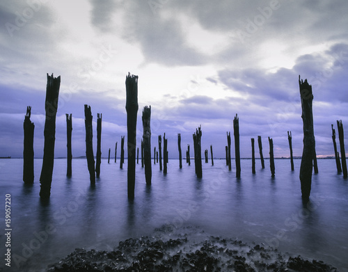 Dock Pilings Boston Harbor