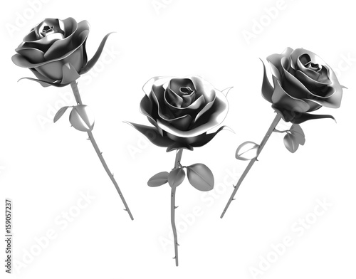 Εκτύπωση καμβά Metal Roses