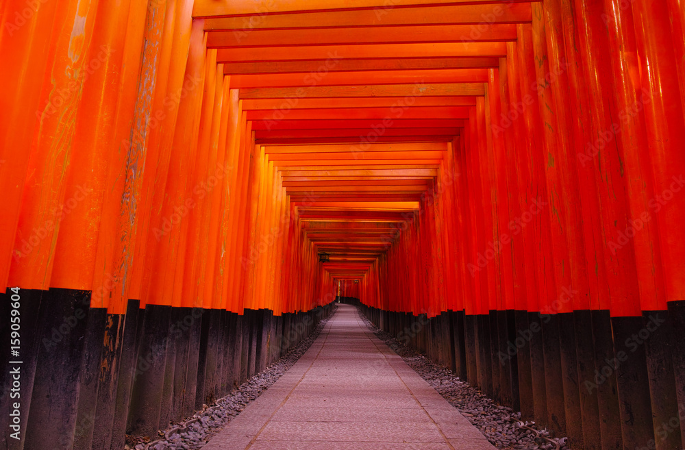 Fototapeta premium 千本鳥居