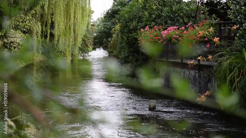 Reane dal Roiâl Reana del Rojale Рэяна-дэль-Раяле رانا دل رویاله Friuli Ռեանա դել Ռոյալե レアーナ・デル・ロイアーレ Реана-дель-Рояле 雷亚纳德尔罗亚莱  photo