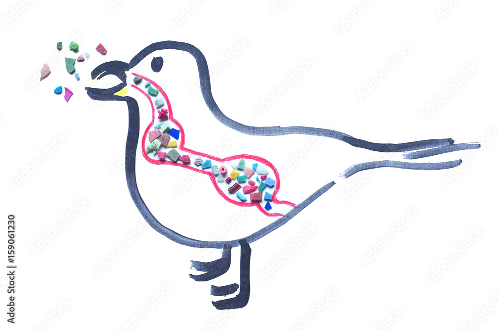 マイクロプラスチックを食べたカモメ Stock 写真 Adobe Stock