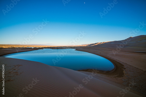 beautiful evening landscape of desert with little oasis 