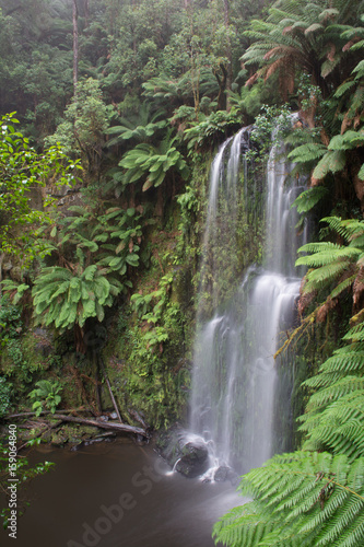  Beauchamp waterfall in lush rainforest