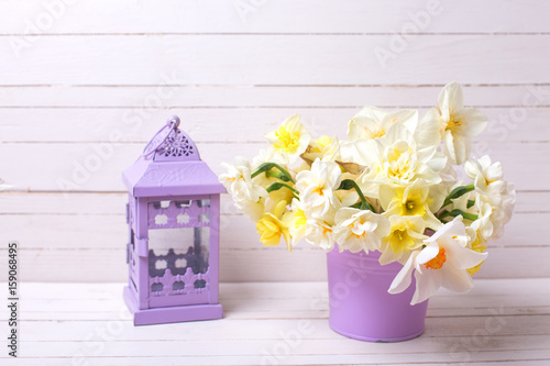 Fototapeta Naklejka Na Ścianę i Meble -  Spring  background.