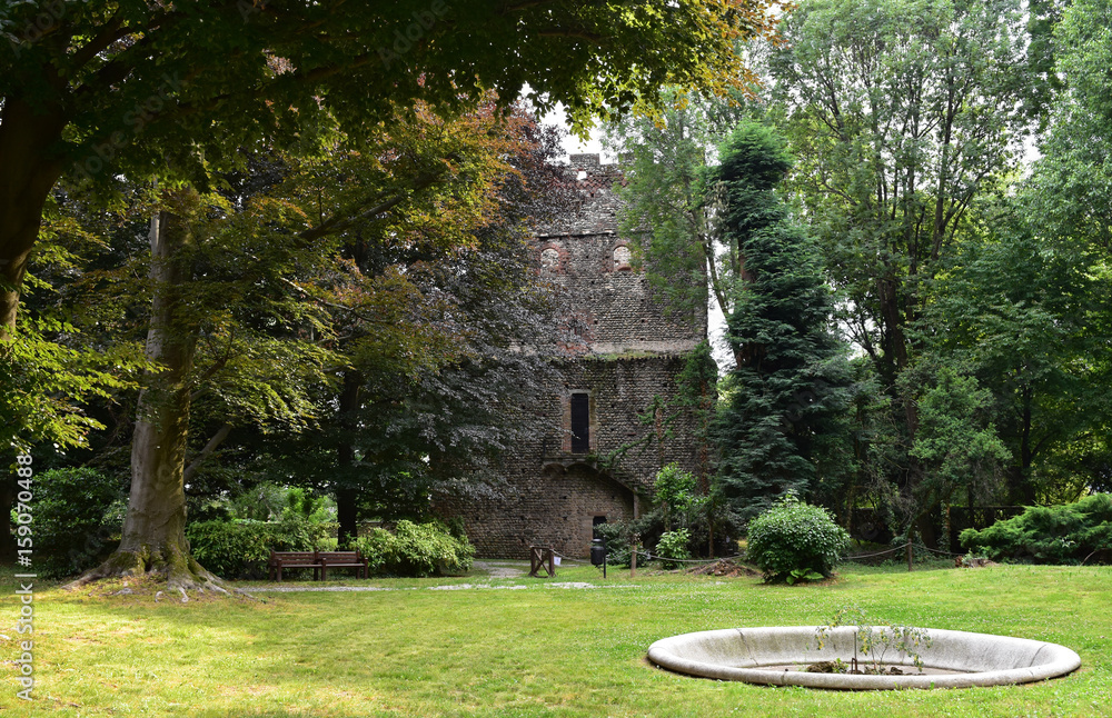 The ancient Castle of Rivalta di Torino in Italy in the park.