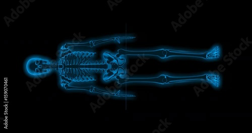 Skeleton scan concept / 3D animation of digital medical scanner plane moving through rotating male skeleton in endless loop